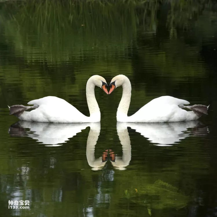 2023110942965693.jpg 1.jpg