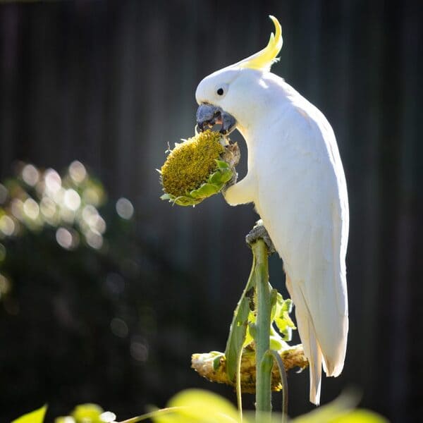 2023111072275887.jpeg 4.jpeg