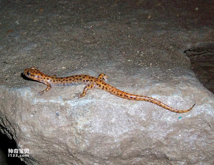 2023111119024442.jpg 4.jpg