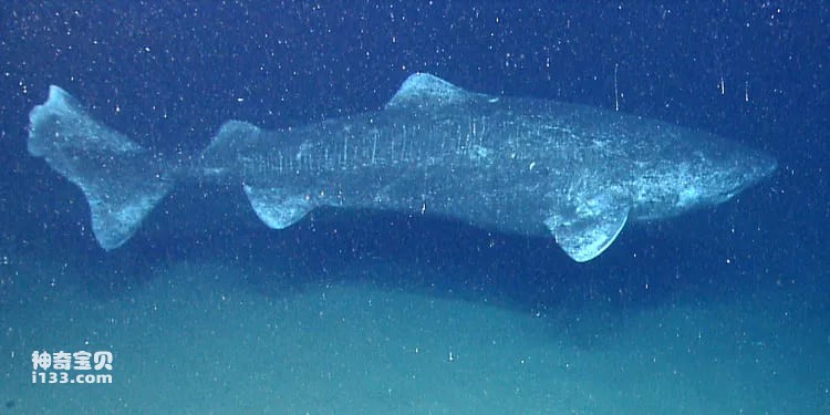 2023111155231011.jpg 8.jpg