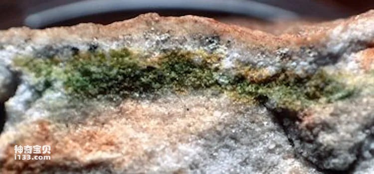 2023111160207401.jpg 10.jpg