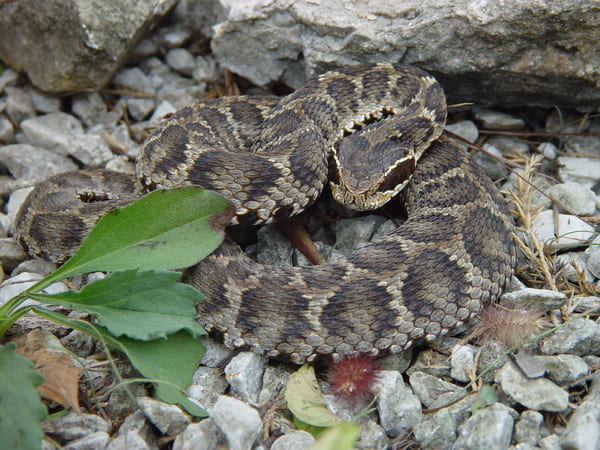 2023111216994334.jpeg 10.jpeg