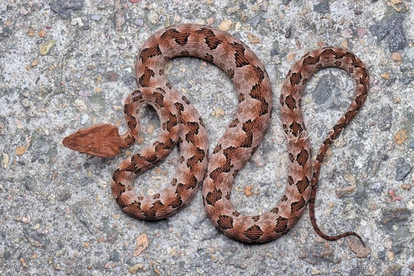 2023111273048249.jpeg 8.jpeg