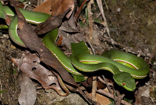 2023111294880403.jpeg 3.jpeg