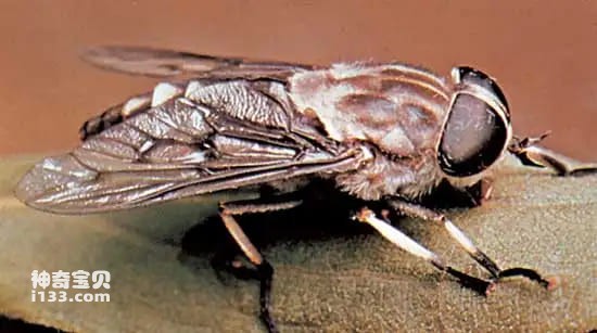 2023111312383443.jpg 4.jpg