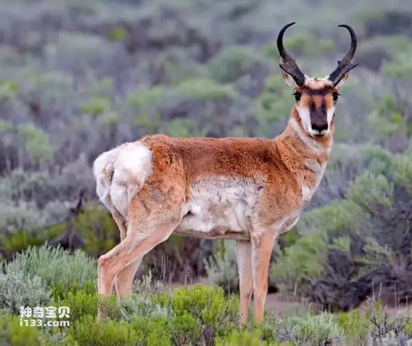 2023111312663416.jpg 2.jpg