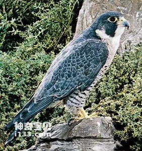 2023111343645487.jpg 5.jpg