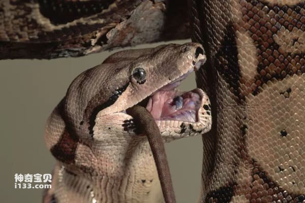 2023111411834873.jpg 2.jpg