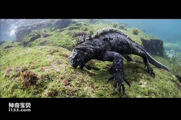 2023111420523266.jpg 3.jpg