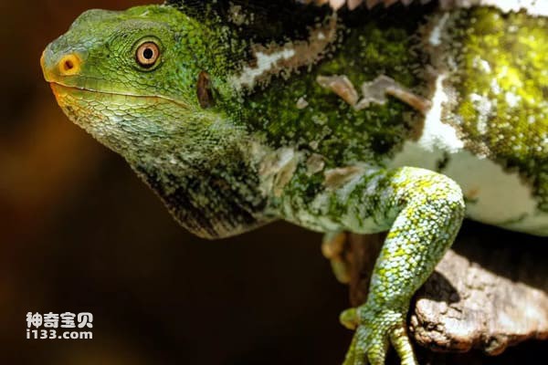 2023111462477698.jpg 4.jpg