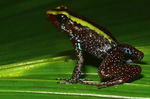 2023111539328383.jpeg 4.jpeg