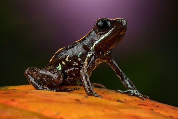 2023111556704113.jpeg 10.jpeg