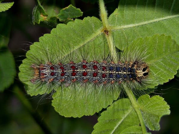 2023111610147465.jpeg 4.jpeg