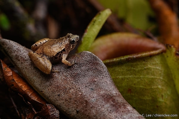 2023111613034703.jpeg 7.jpeg