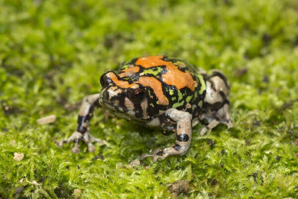 2023111617316016.jpeg 5.jpeg