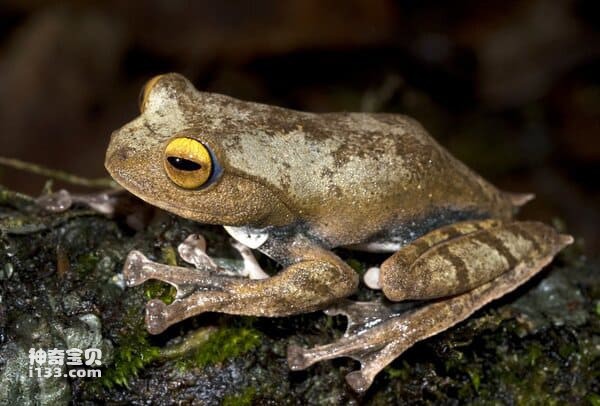 2023111620628174.jpg 6.jpg