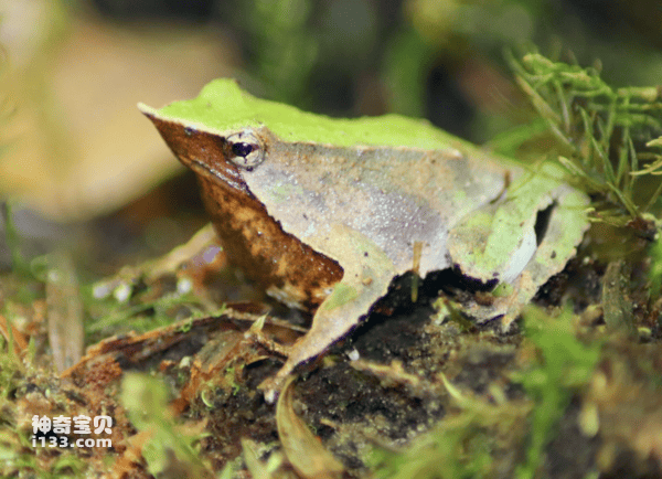 2023111620807422.png 3.png