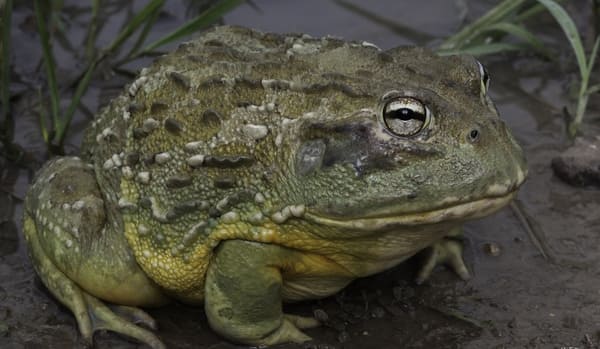 2023112012119518.jpeg 8.jpeg