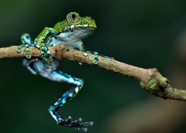 2023112071323621.jpeg 10.jpeg