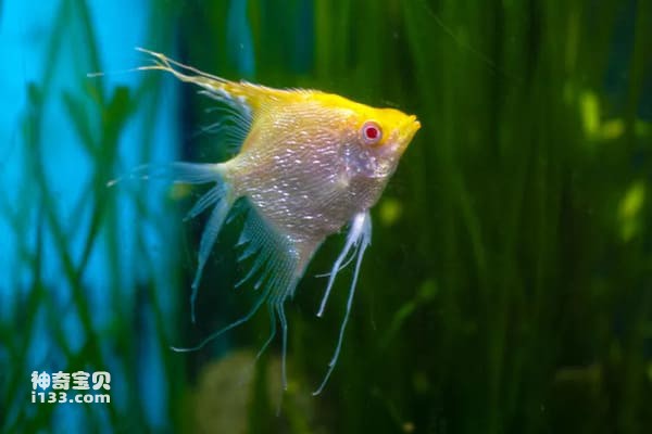 2023112311511843.jpg 5.jpg