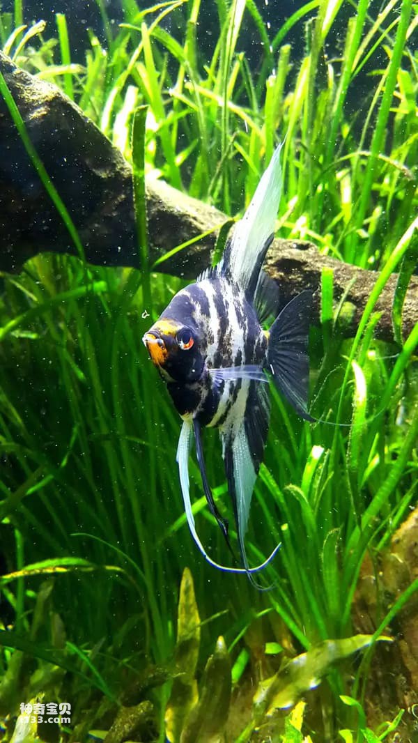 2023112311757970.jpg 7.jpg