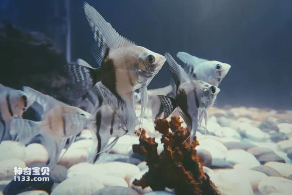 2023112315126500.jpg 9.jpg