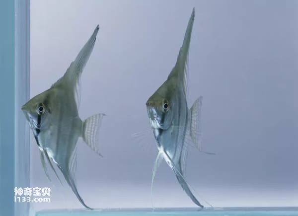 2023112321191592.jpg 10.jpg