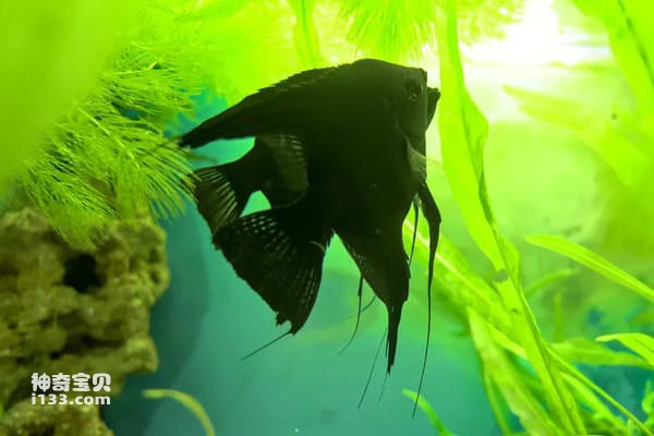 2023112322204128.jpg 4.jpg