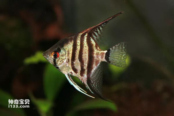 2023112363847631.jpg 2.jpg