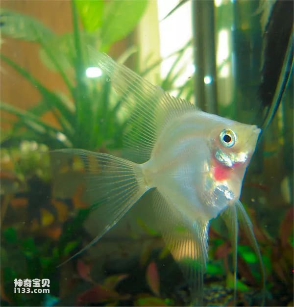 2023112386284021.jpg 6.jpg