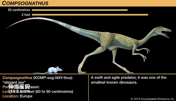 2023112519711989.jpg 6.jpg