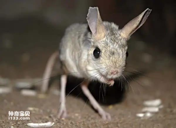 2023112583092673.jpg 4.jpg