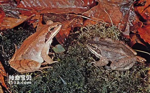 2023112588744740.jpg 2.jpg