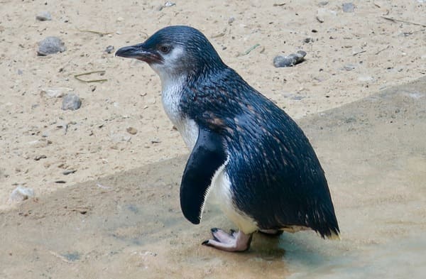 2023112717840522.jpeg 8.jpeg