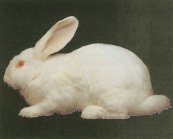 2023113088689517.jpeg 5.jpeg