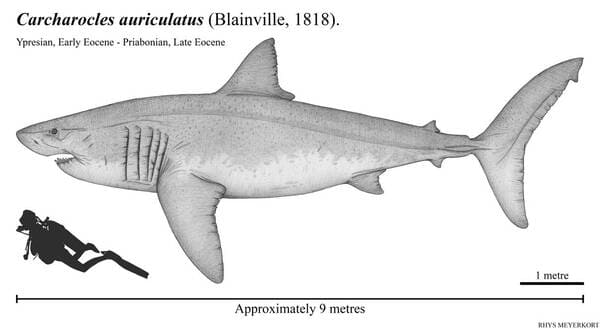 2023120216458843.jpeg 5.jpeg