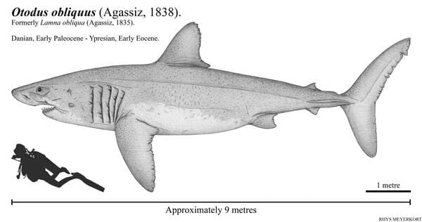 2023120221103954.jpeg 6.jpeg