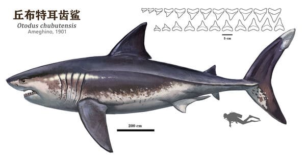 2023120230023735.jpeg 4.jpeg