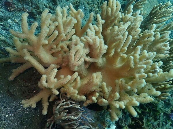 2023121518926994.jpeg 6.jpeg