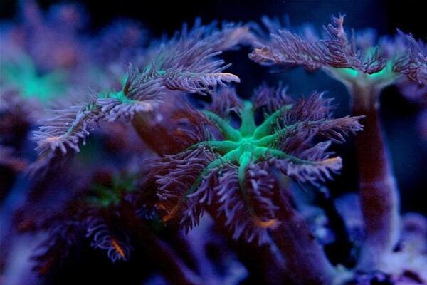 2023121530719286.jpeg 9.jpeg