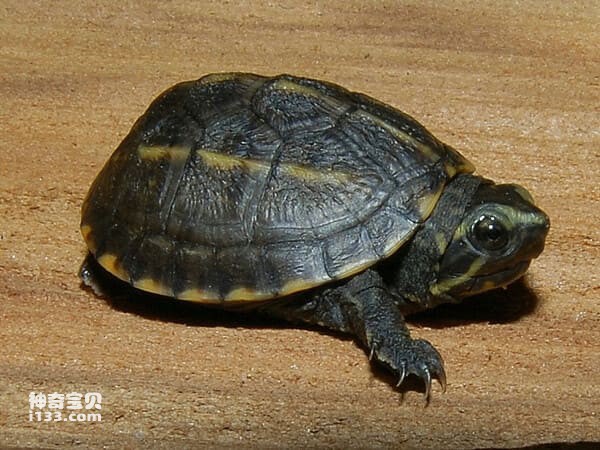 2023121810338511.jpg 2.jpg