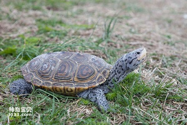 2023121812570679.jpg 8.jpg