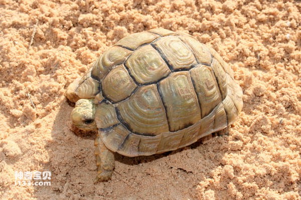 2023121813564112.jpg 7.jpg