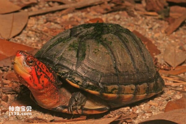 2023121817143128.jpg 9.jpg