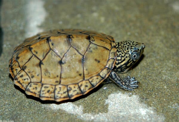 2023121817963517.jpeg 6.jpeg