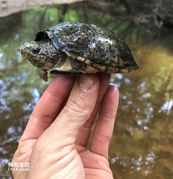 2023121828772569.jpg 3.jpg