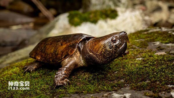 2023121882973666.jpg 10.jpg