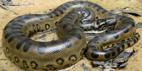 2024010911060889.jpeg 3.jpeg