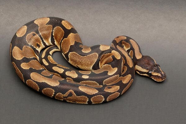 2024010915867230.jpeg 4.jpeg