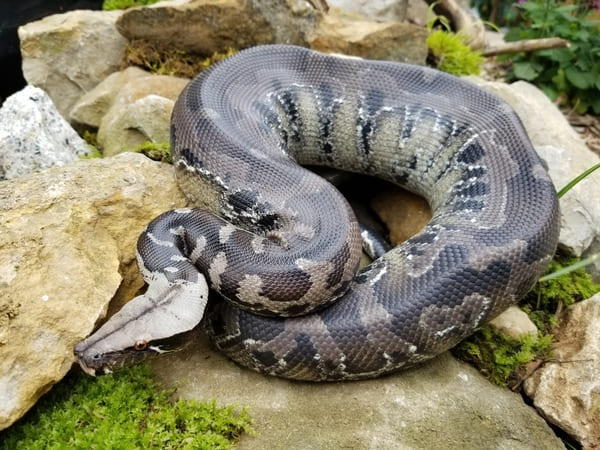 2024010969141987.jpeg 6.jpeg